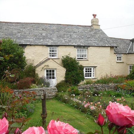 Bed and Breakfast Higher Tresmorn Farm à Crackington Haven Extérieur photo