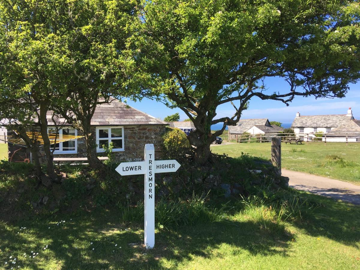 Bed and Breakfast Higher Tresmorn Farm à Crackington Haven Extérieur photo