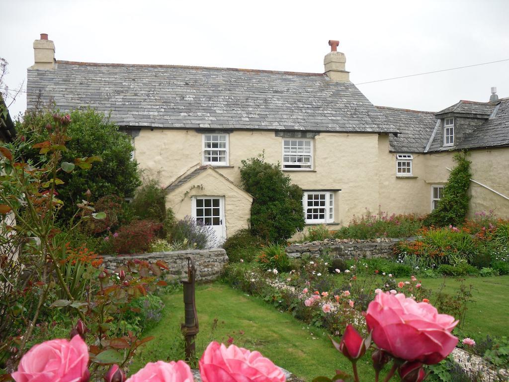 Bed and Breakfast Higher Tresmorn Farm à Crackington Haven Extérieur photo