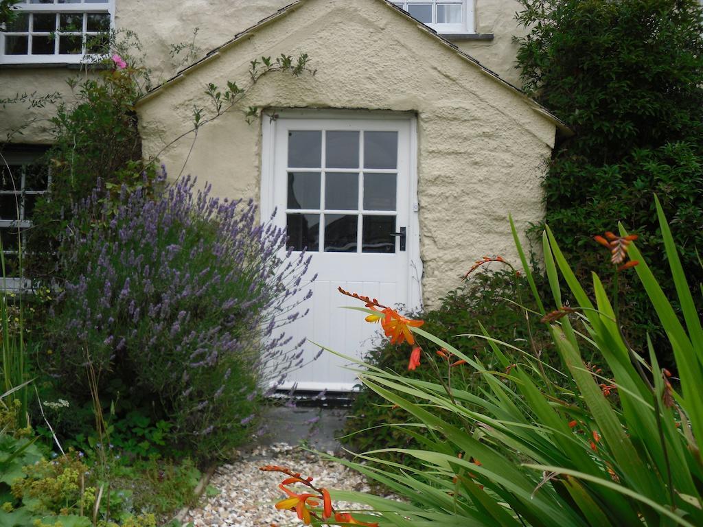Bed and Breakfast Higher Tresmorn Farm à Crackington Haven Extérieur photo