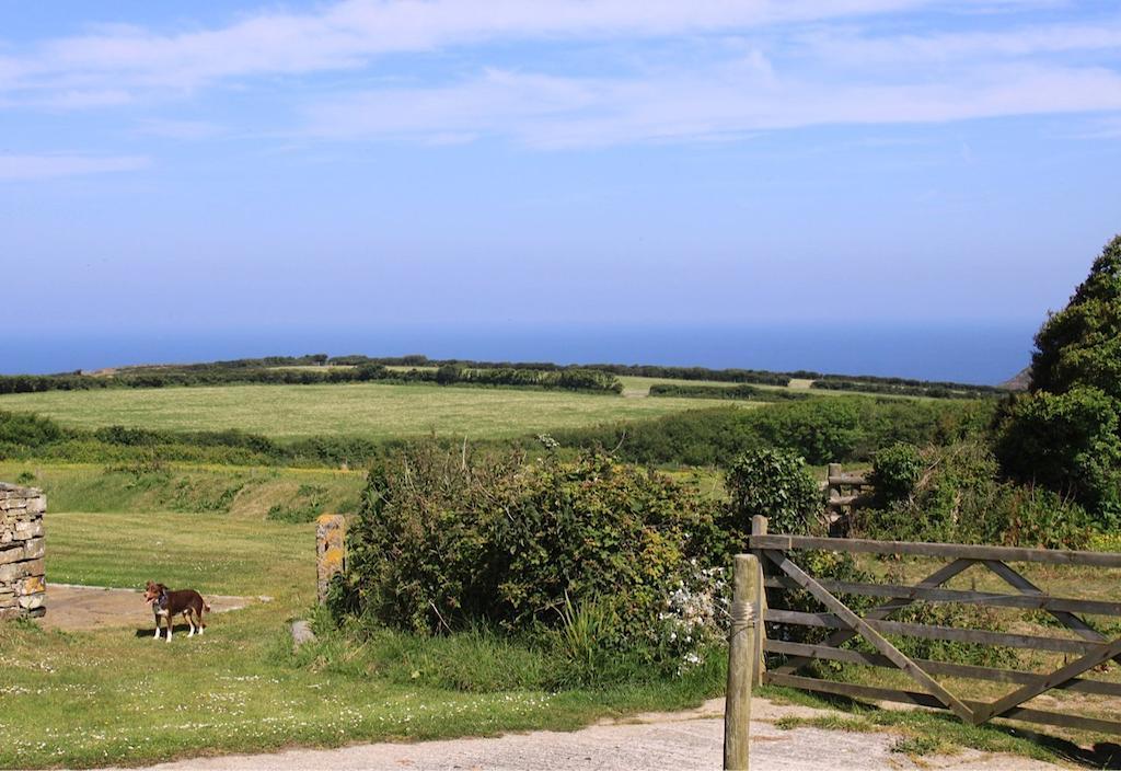 Bed and Breakfast Higher Tresmorn Farm à Crackington Haven Extérieur photo