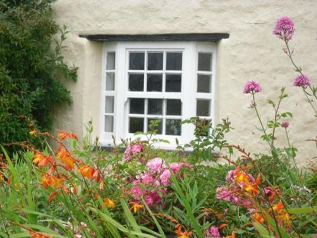 Bed and Breakfast Higher Tresmorn Farm à Crackington Haven Extérieur photo